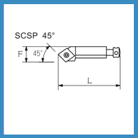 SCSP 45